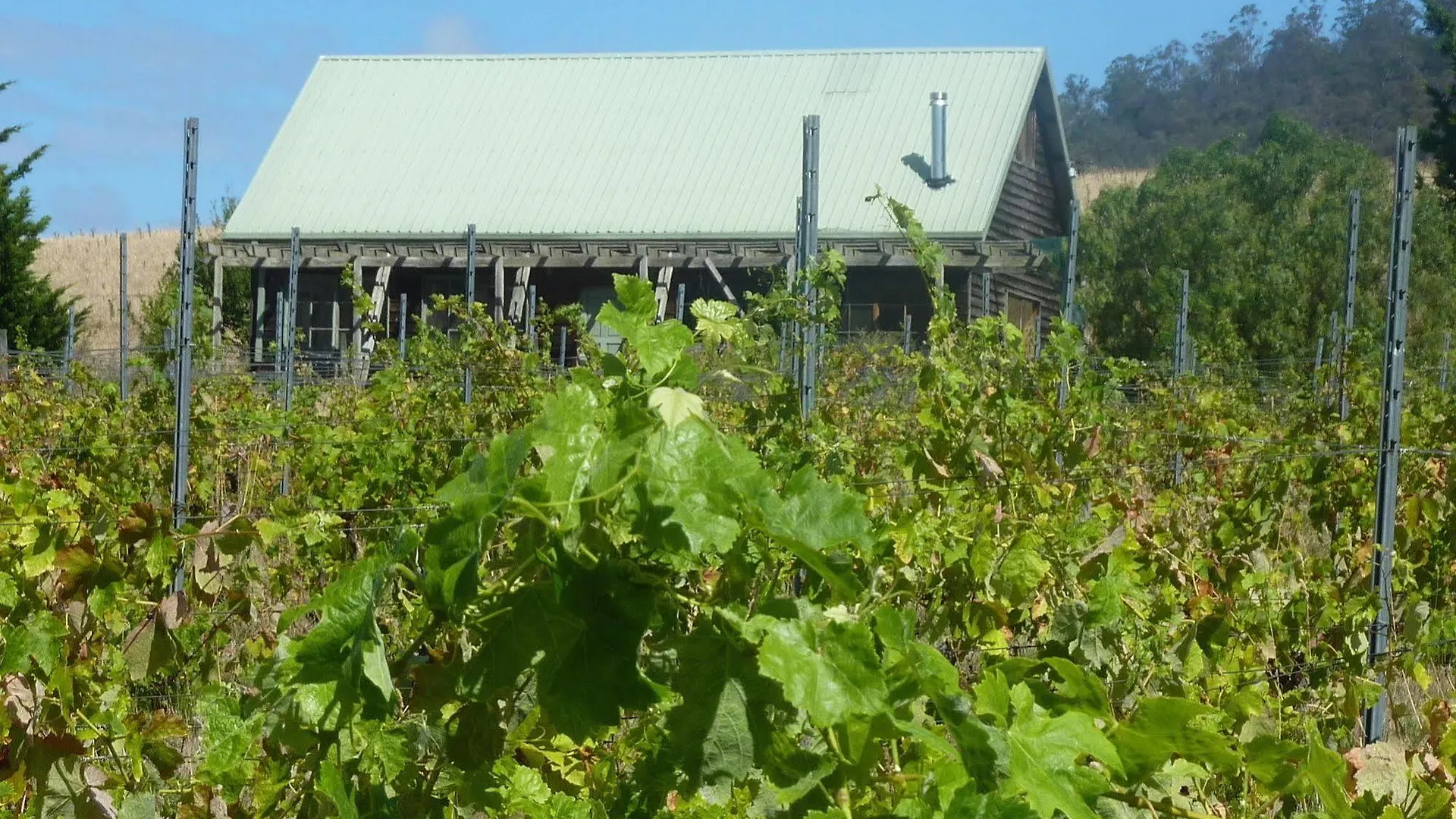 Charles Reuben Estate Guest House Hobart Country house